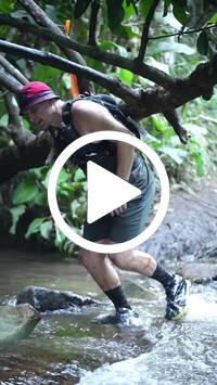 BIB:  <button type="button" onclick="openModal(27239073)" class="btn btn-primary btn-sm float-right" data-toggle="modal" data-target=".modal-high-quality">
                <i class="fa fa-download"></i> Download
                </button>